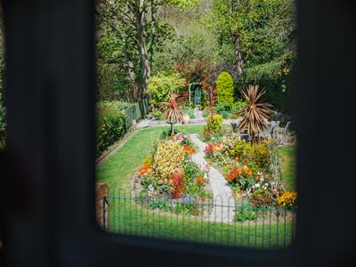 Picture 35